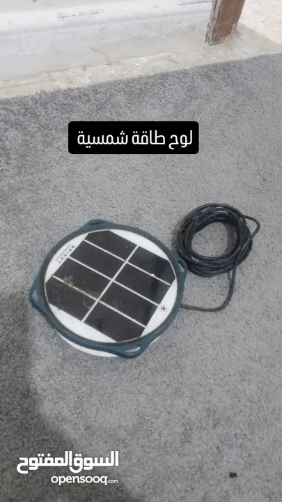 للبيع او البدل على جوز حب   للبيع او البدل على جوز حب   للبيع او البدل على جوز حب   للبيع او البدل ع