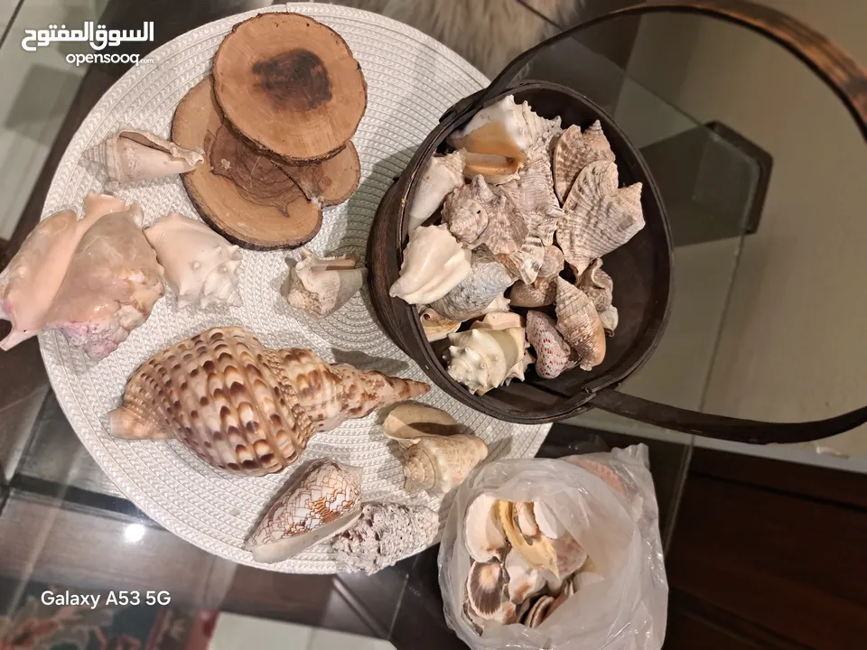 متفرقات جديده ومميزة