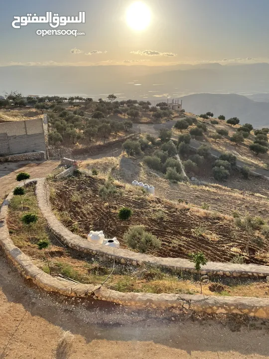 مزرعة في مغاريب السلط من المالك مباشرة