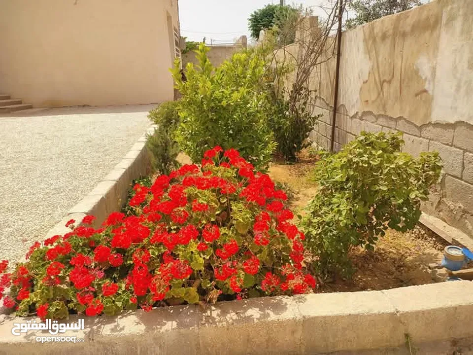 بيت للبيع المفرق ضاحية الملك عبد الله