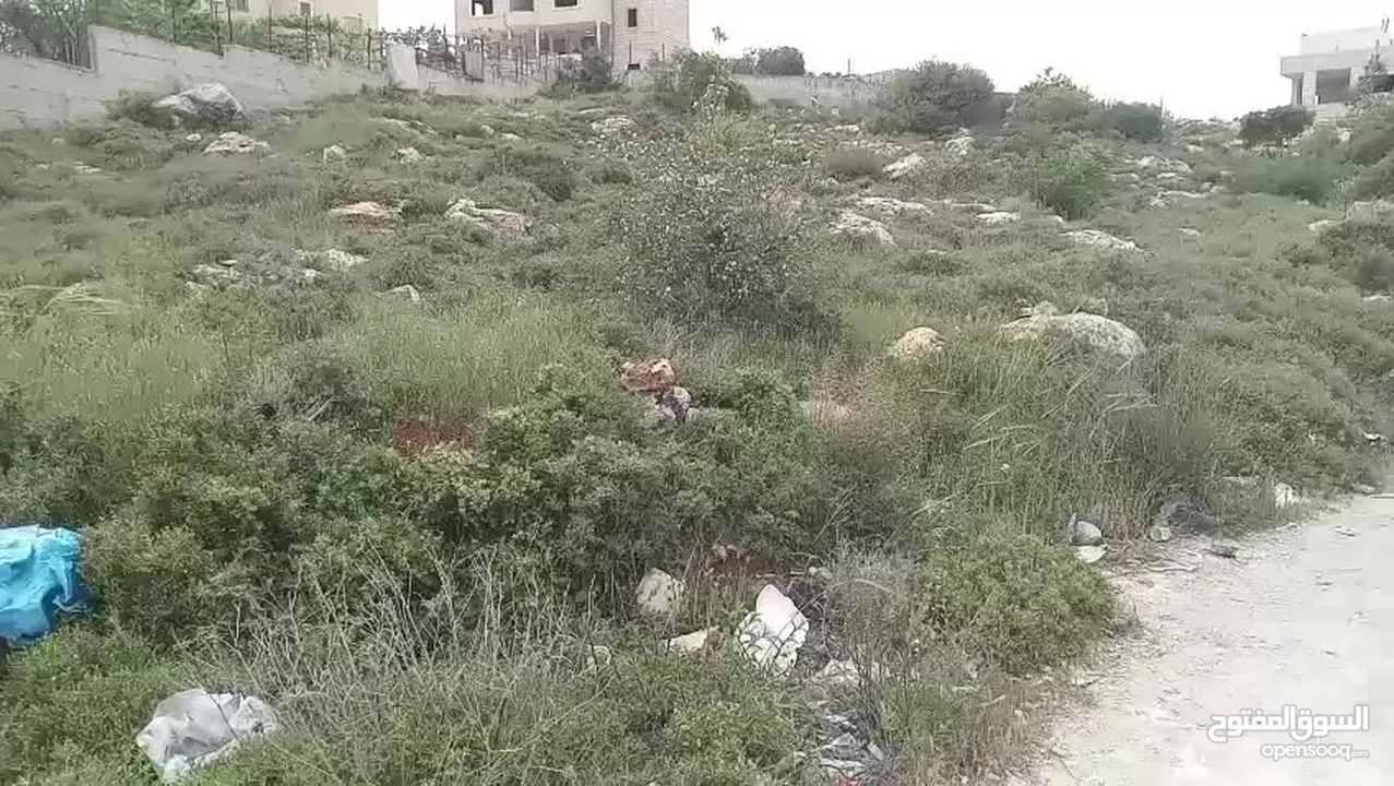 ارض للبيع في تفوح