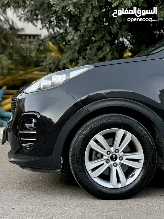 احمد سامي ابو غنيم