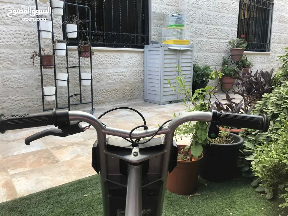 سكوتر Razor امريكي اصلي مع الشاحن السريع بسعر 100 دينار اردني