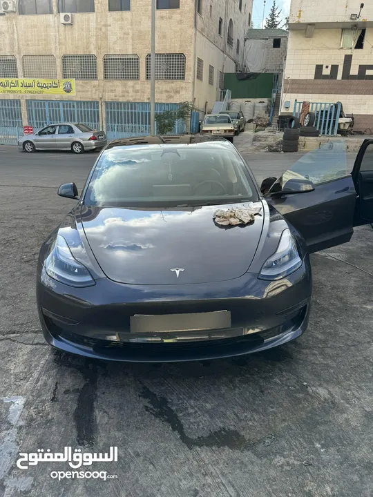 تسلا موديل 3 2023 بيرفورمنس