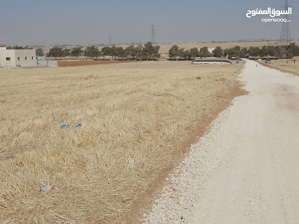 ارض للبيع مادبا بعد إشارة الجامعة الأمريكية باتجاه الجامعة قطعة ارض زراعية كامل الخدمات بمساحة3400 م