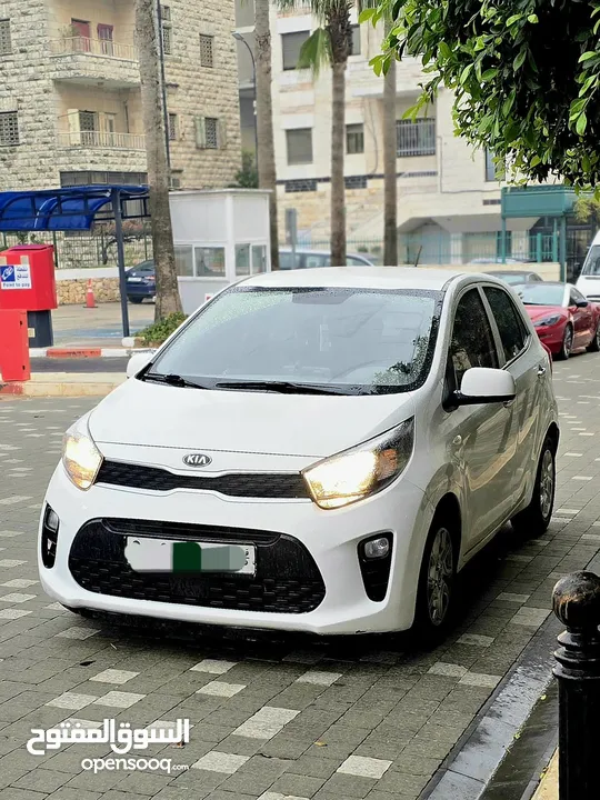 بيكانتو مورنينج 2021