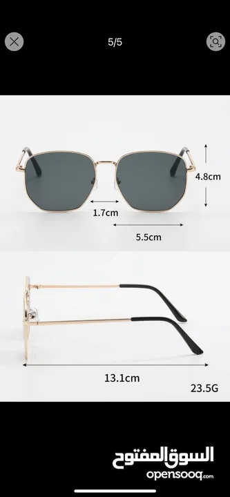 Sunglasses - Brown and Black