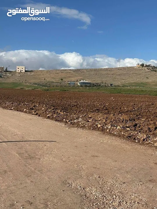 للبيع قطعة ارض بلعما - الزيتونة
