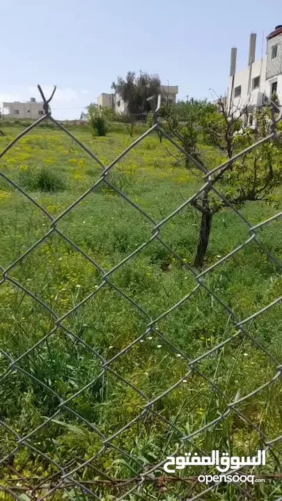 ارض للبيع /عبين عبلين