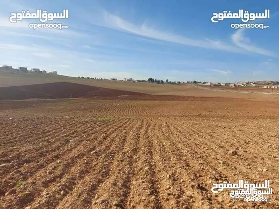 3650 م للبيع ارض مستويه قريبه من الخدمات تصلح مزرعه