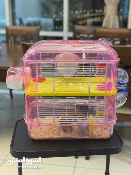 Hamster with cage