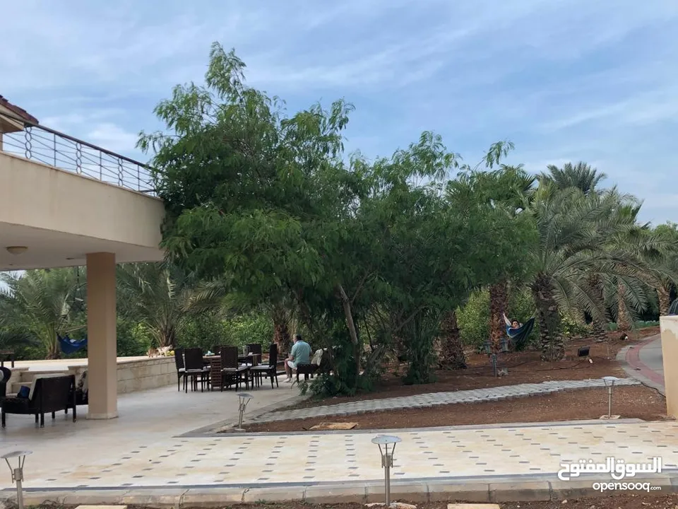مزرعة في الشونة الجنوبية / غور نمرين - ref: 12165