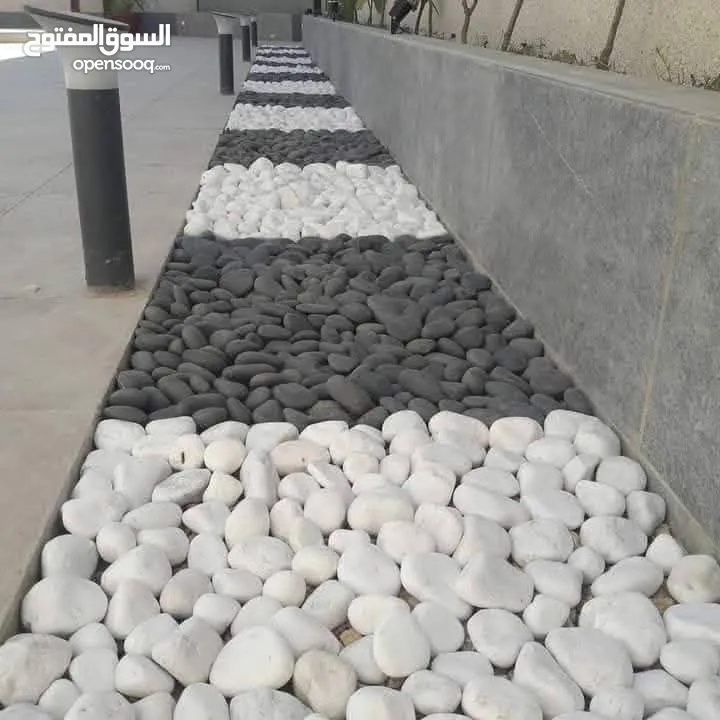 نجيل طبيعي ونجيل ديكوندرا