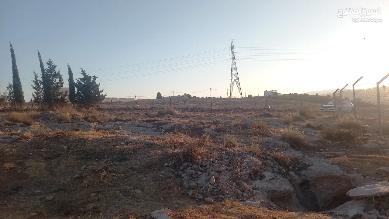 أرض داخل التنظيم للبيع