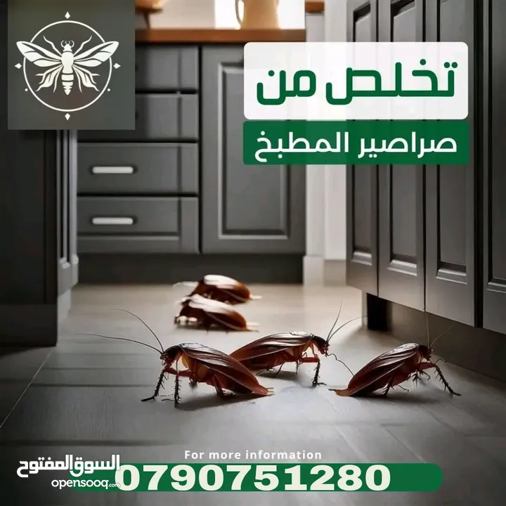 رش حشرات للمنازل والمحلات مع ضمان النتيجة وسرعة الاستجابة وكفالة