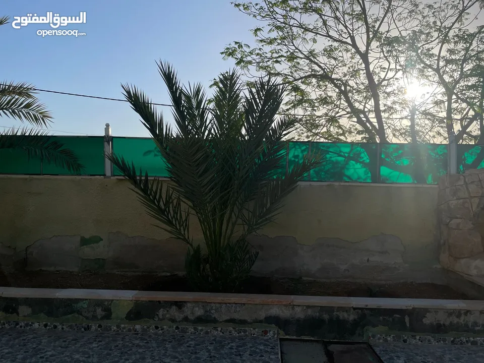 فيلا للبيع في الشونة الجنوبية