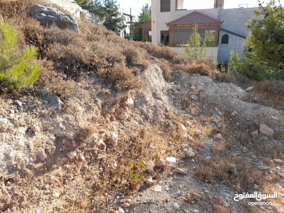 قطعة أرض مميزة للبيع  -ضاحية الحمر الراقية -عمان الغربية