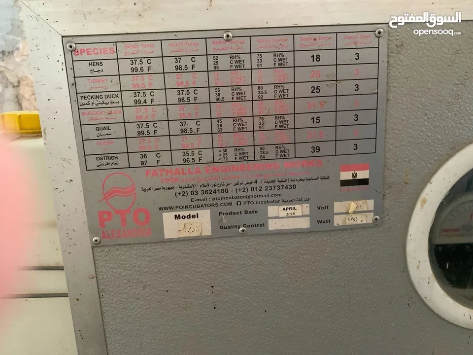 فقاسة جاج  مصريه