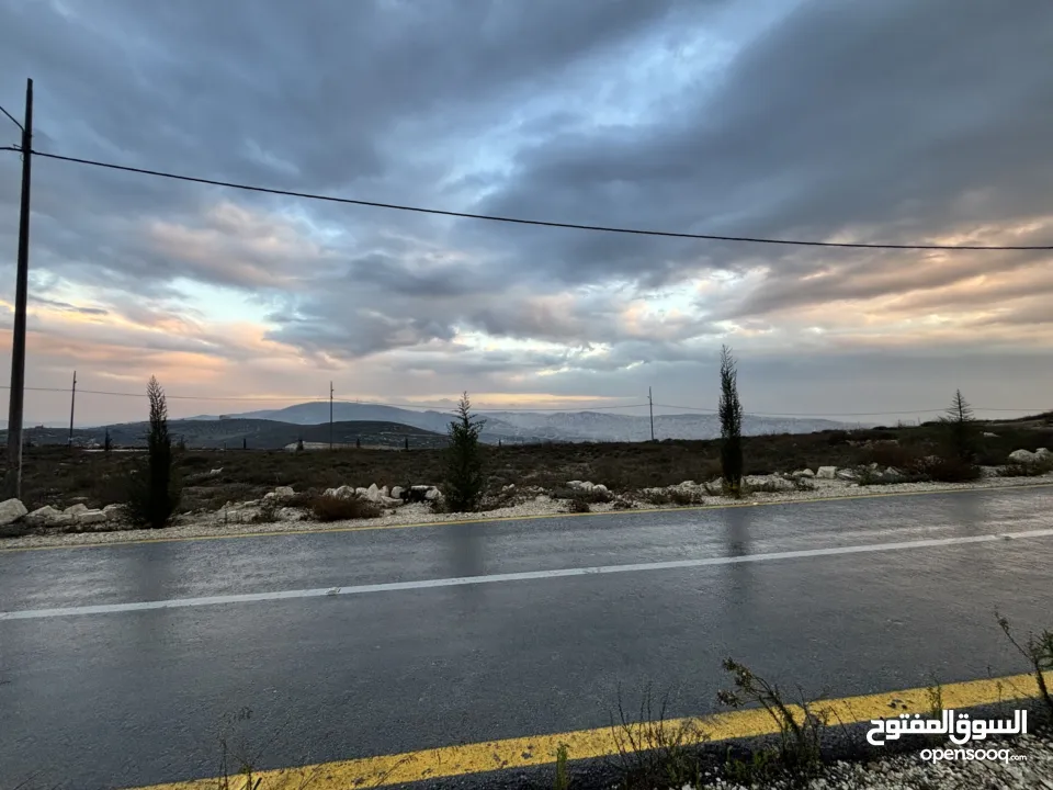 ارض اجنسنيا طابو