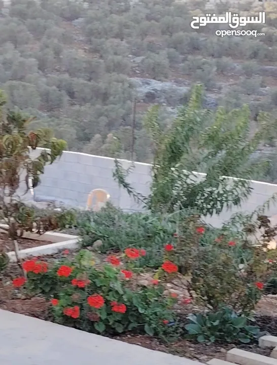 بيت. مستقل طابقين. اطلاله. رائعه تشطيب سوبر ديلوكس طابو