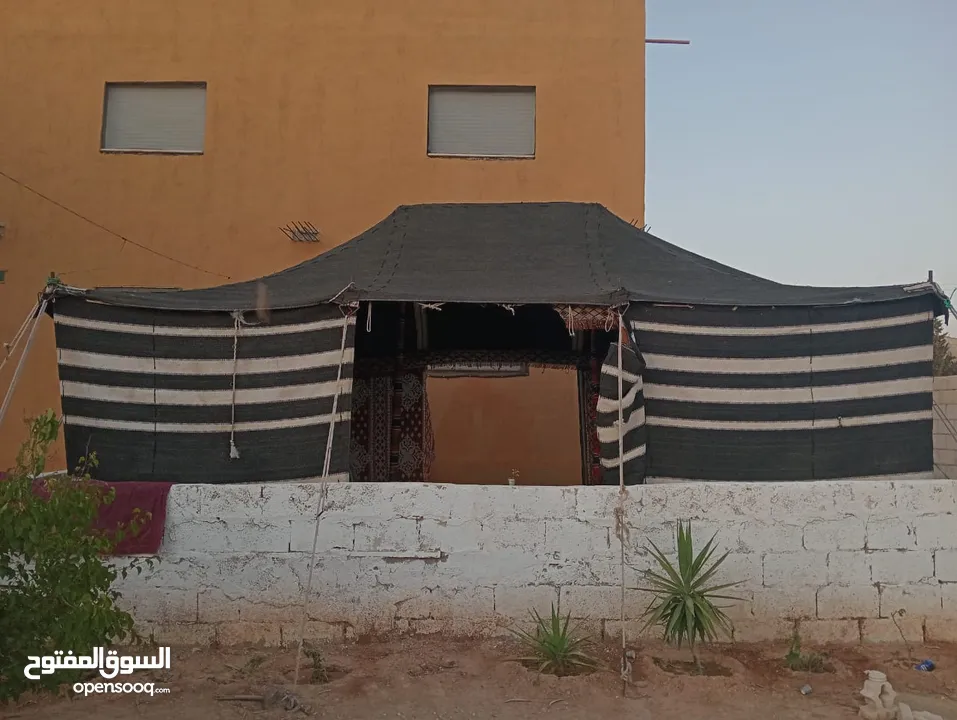 خيمه سعوديه شعر اسود وليس كتان