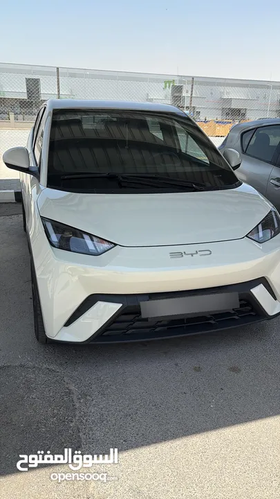 BYD Seagull البطارية الكبيرة موديل 2023