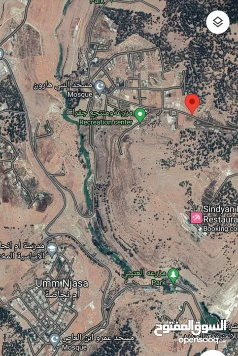 للبيع ارض ام الدنانير حوض ام سنديانه مساحه 6899 متر