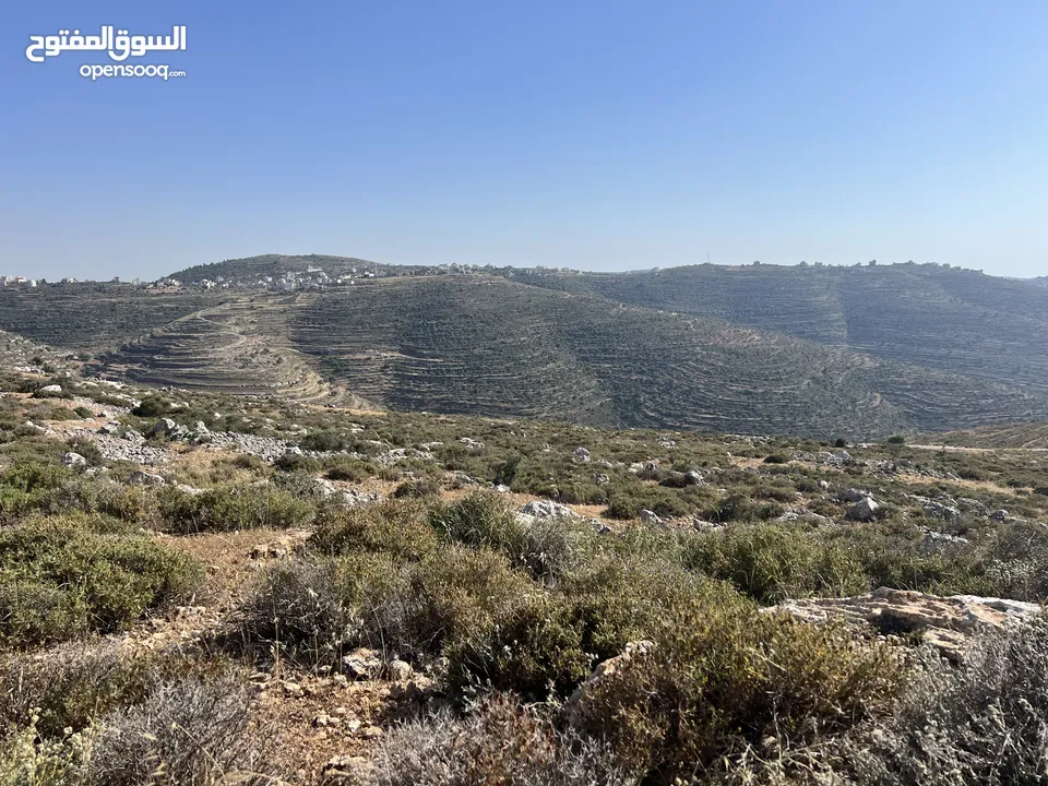 ارض مميزة للبيع في تلال عبوين وسنجل (تلال غرابة)
