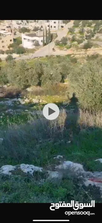 بيع ارض سكنية