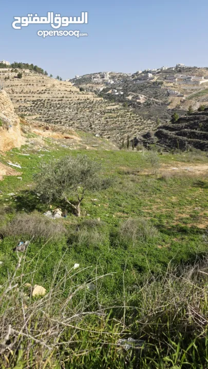 قطعة نص دونم دورا