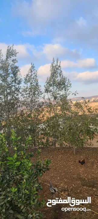 بيت مستقل مع ارض  للبيع بسسب السفر