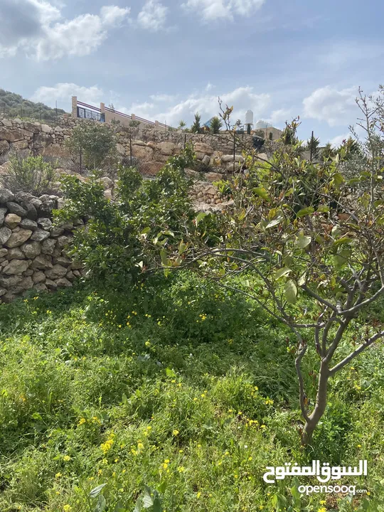 بيت ريفي مع مزرعة