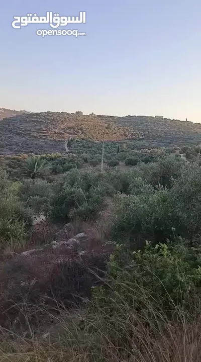 ارض للبيع بسعر مميز