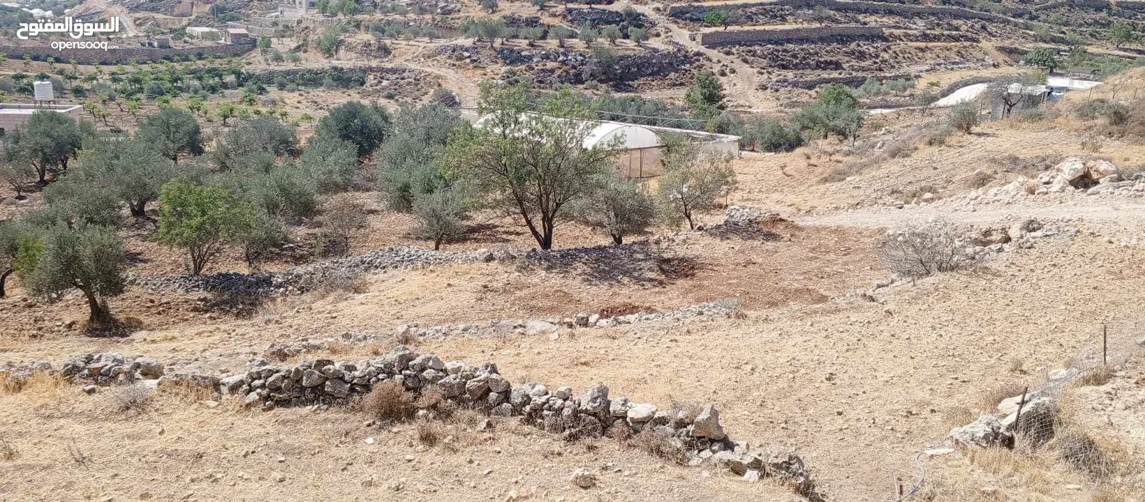 ارض مناسبة للبناء او الاستثمار او الزراعه