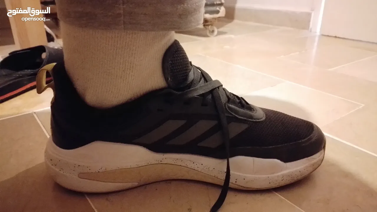 Adidas team bounce +nike react +puma ferrari neuf