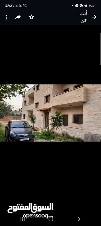 شقه مفروشه بالقرب من الجامعه الامريكيه .زبابده