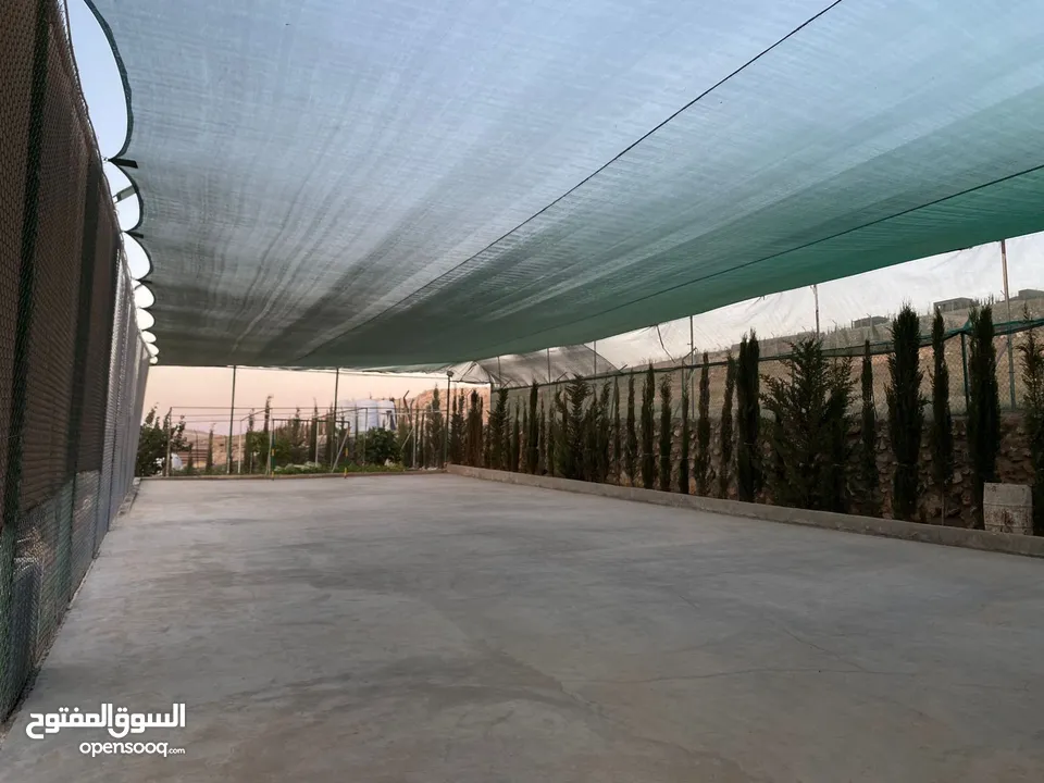 شالية الكرم