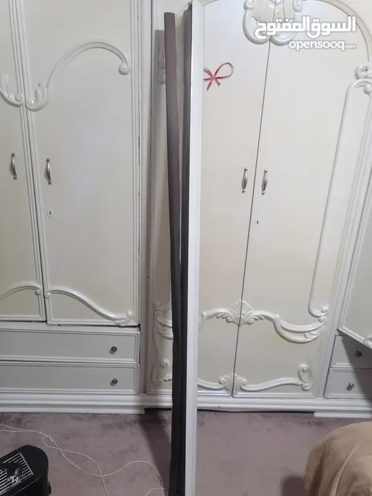 صوبات كهربه + بدايه زيبرا