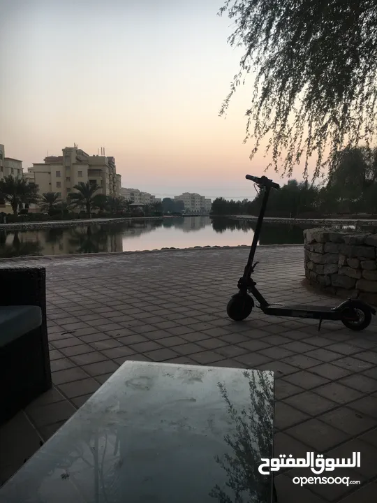 Scooter Xiaomi pro