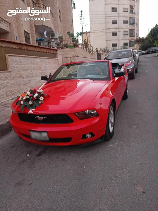 فورد موستينج كشف للأعراس والمناسبات والايام