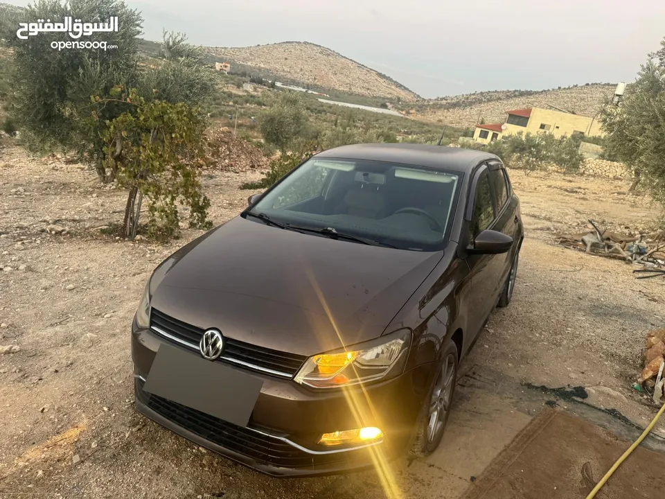 بولو جير عادي الحبة النادرة باللون و الجمال و الفحص