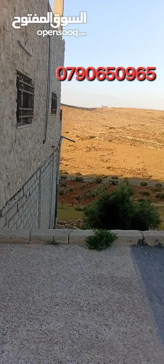 ارض للبيع في منطقه رجم الشوك مساحة الارض 3 دنوم و700 متر قوشان مستقل يوجد فيها بيت طابقين جاهز للسكن