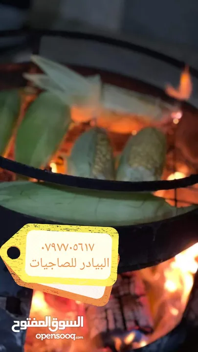 مركب مع صاجية