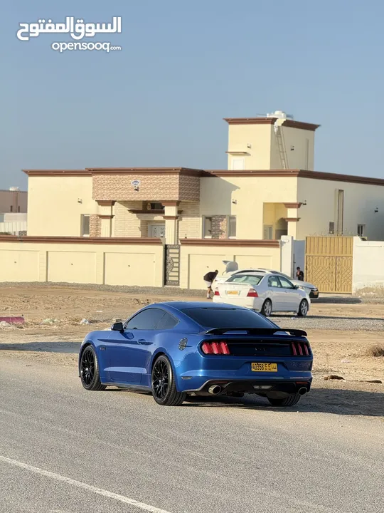 موستانج نضيف v8