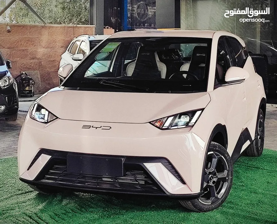 بي واي دي سيجول 405 موديل 2023, كفالة البستنجي سارية المفعول، فحص كامل، مؤمنة شامل