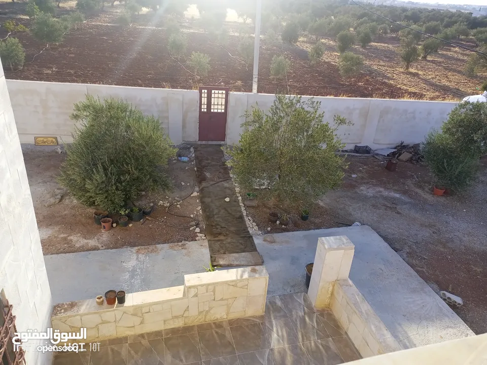 بيت مفروش للاجار اليومي او الاسبوعي او الشهري