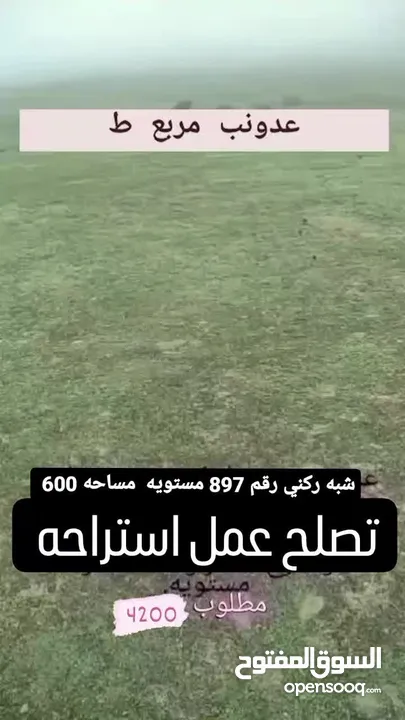 عدونب مربع ط شبه ركني 897