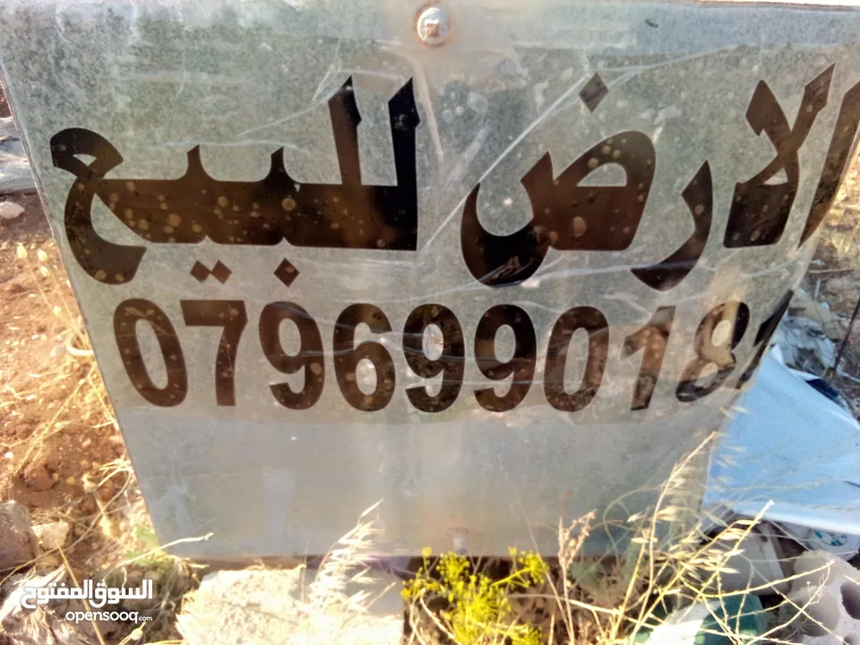 قطعه او مميزه مشجره زيتون