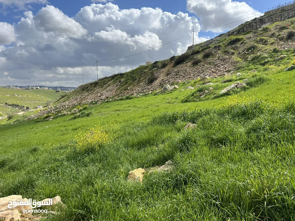 الفزره 525 م سكن ج