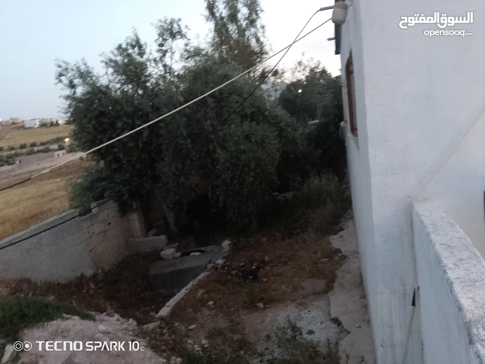 منزل للبيع المفرق بلعما الزيتونه واصل جميع الخدمات منطقة الزيتونة قريب من شارع اوستراد اربد الزرقاء